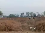 Agriculture land sale in murpar selud