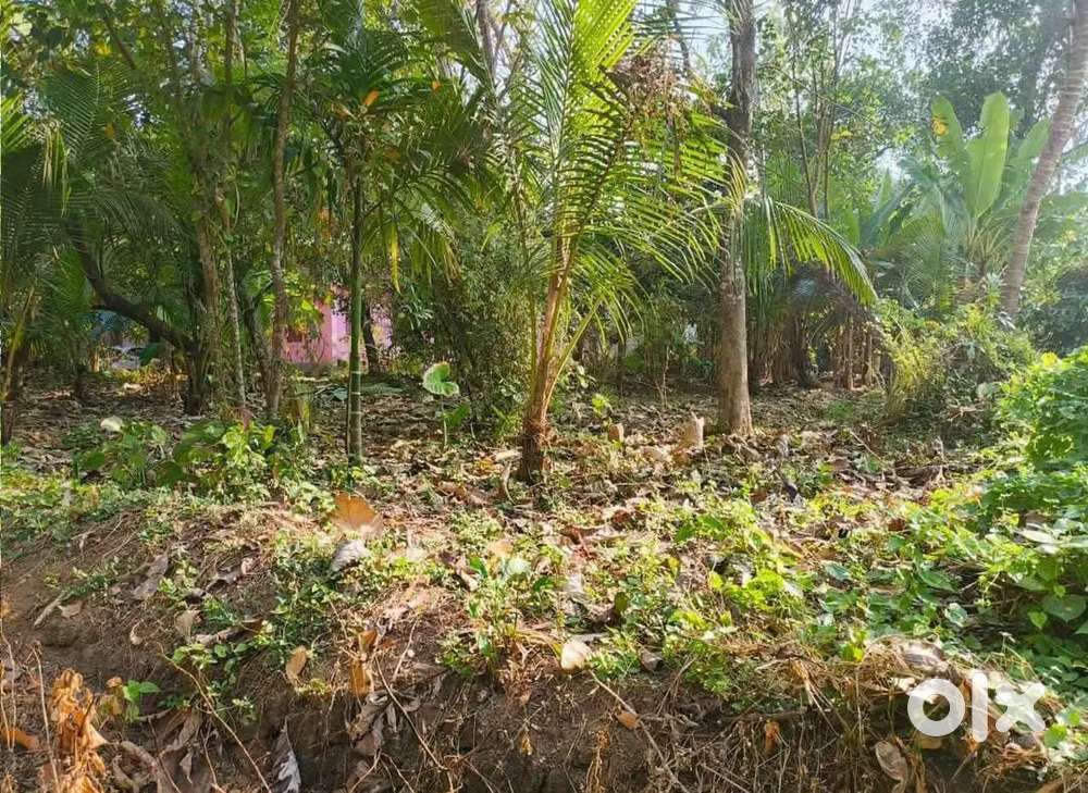 Land for sale 7 cent