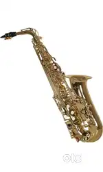 ARCTIC Saxophone With Case
