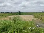 11000 Per yard