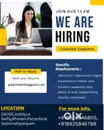 COLLECTION EXECUTIVE