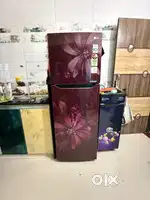 LG 255L Double Door Refrigerator in Excellent Condition