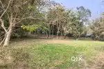 Myadi plot for sale in moran