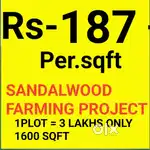 Low cost investment Plot return 3 Crore