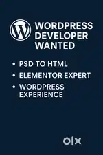 Looking For Wordpress Developer
