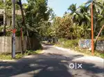 Residential land 5.200 cents near Ayyanthole Main road ,Thrissur