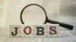 Job mela in argently reqerment