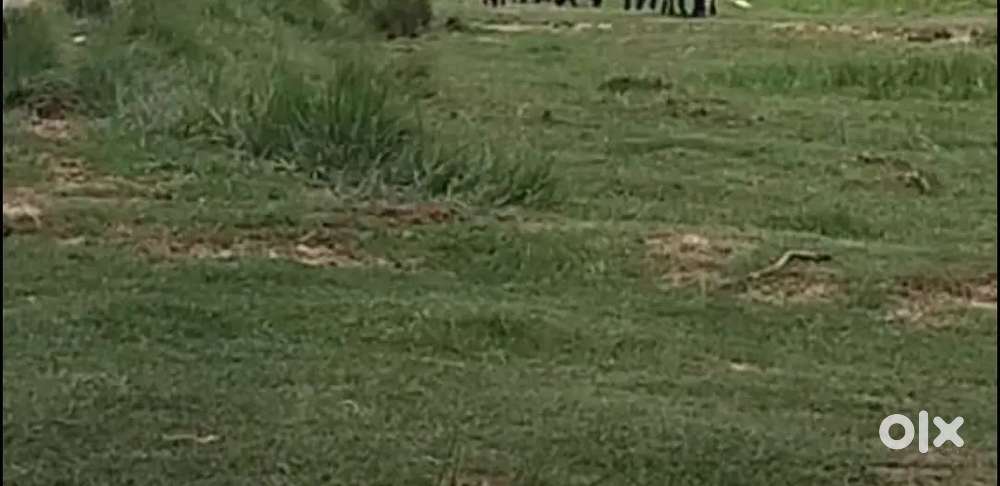 Plots available with all papers