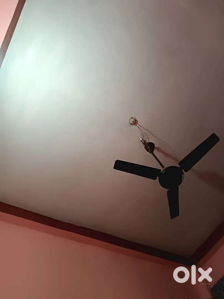 Room partner chahiye..bijli bill sath me