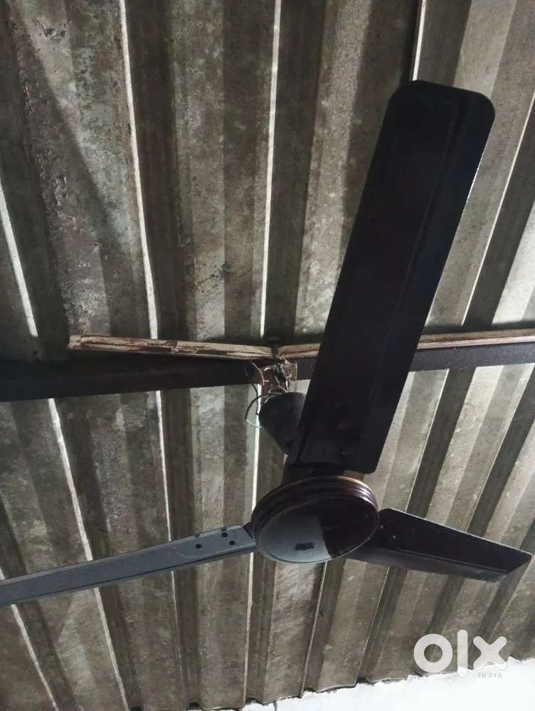 Ceiling Fan