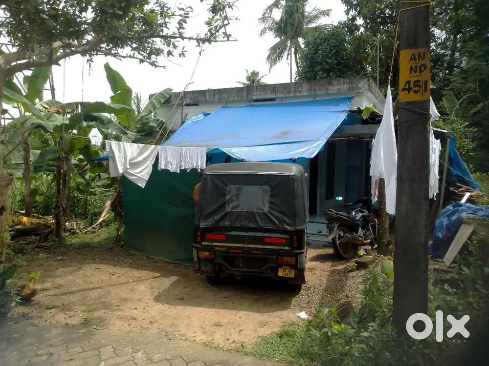 House and plot for sale