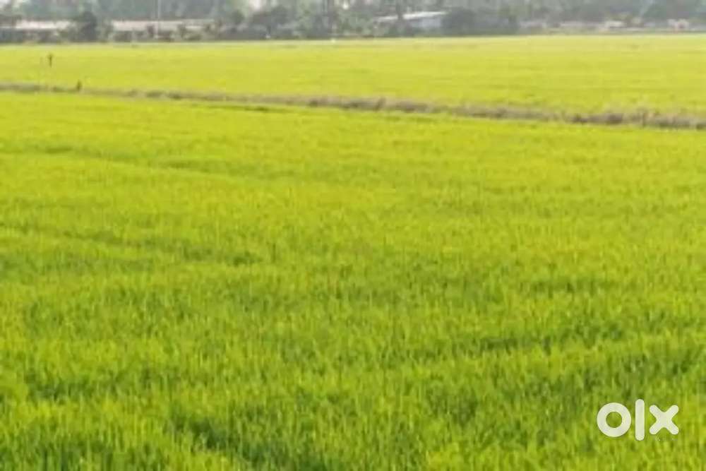 84 cents kkd komaragiri villeg farming land for sal