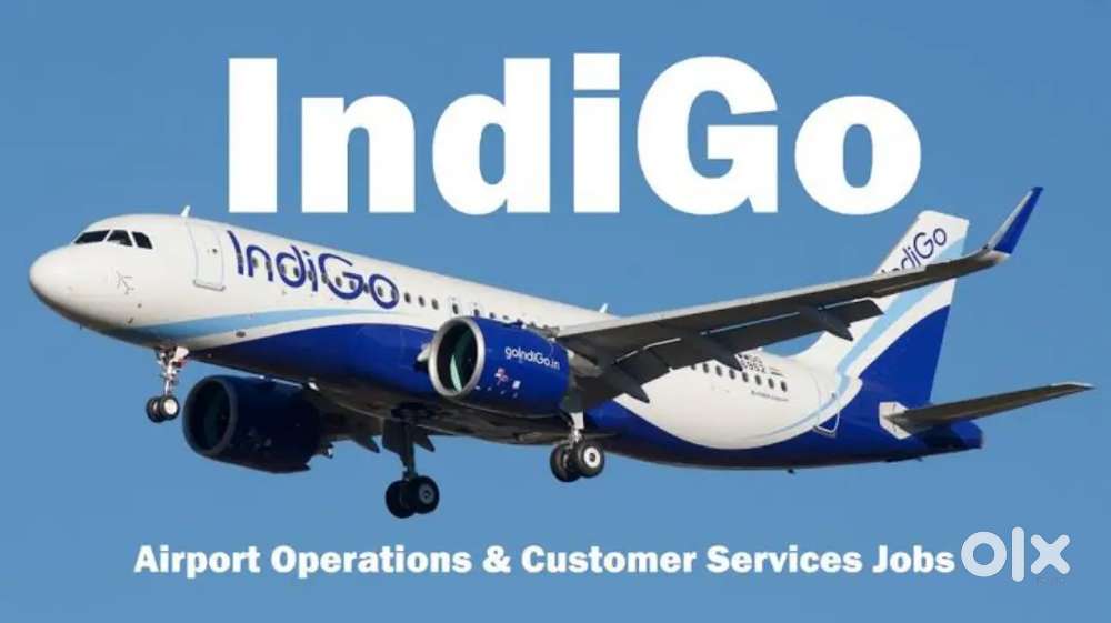 Domestic/International Airport Ground Staff Jobs In Indigo Airlines.