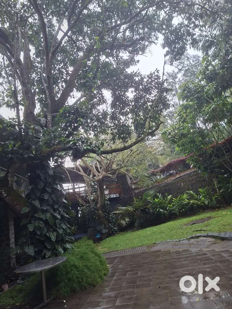 Need Personal SecretarY