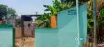 House for rent suitable for bachelor 2 members