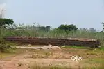 Plots in patia , Bhubaneswar