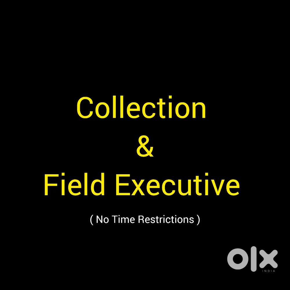 Collection & Field Executive