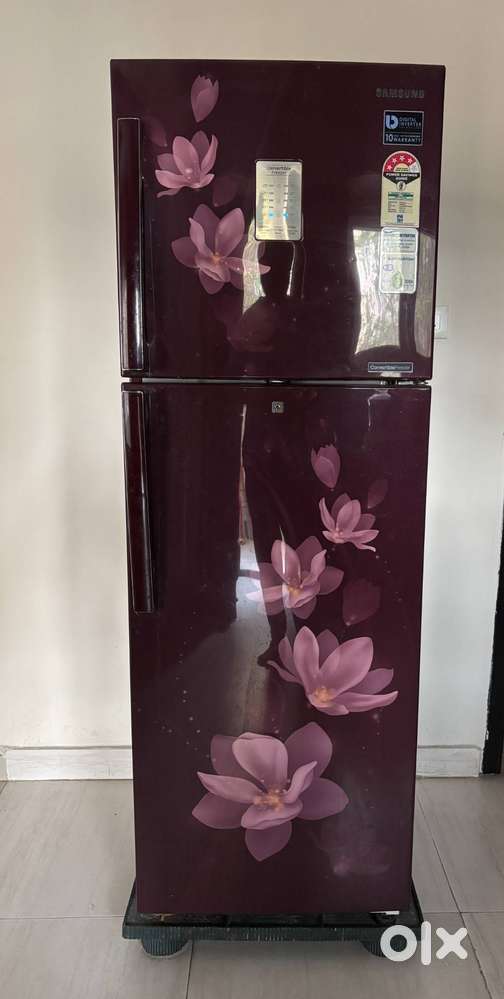Samsung, 275 L, Double door Refrigerator