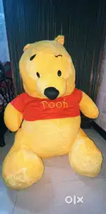 Teddy pooh