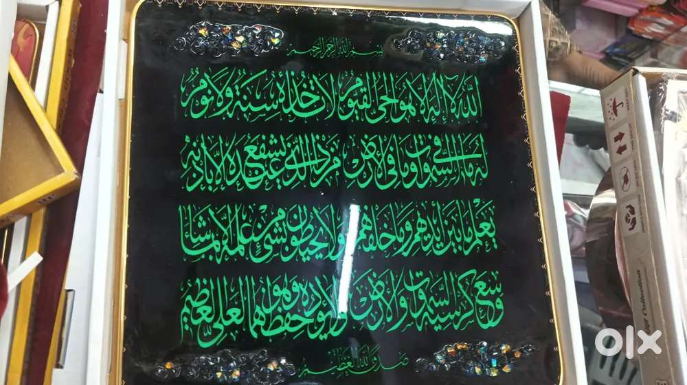 Looking like a very beautiful