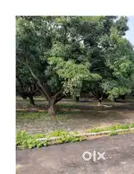 Commercial Plot in Ataria in Lucknow