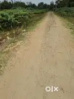 RESIDENTIAL PLOT SALE AT PAPANASAM