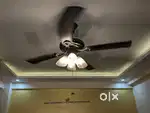 Usha fan with chain ,light (URGENT SALE)