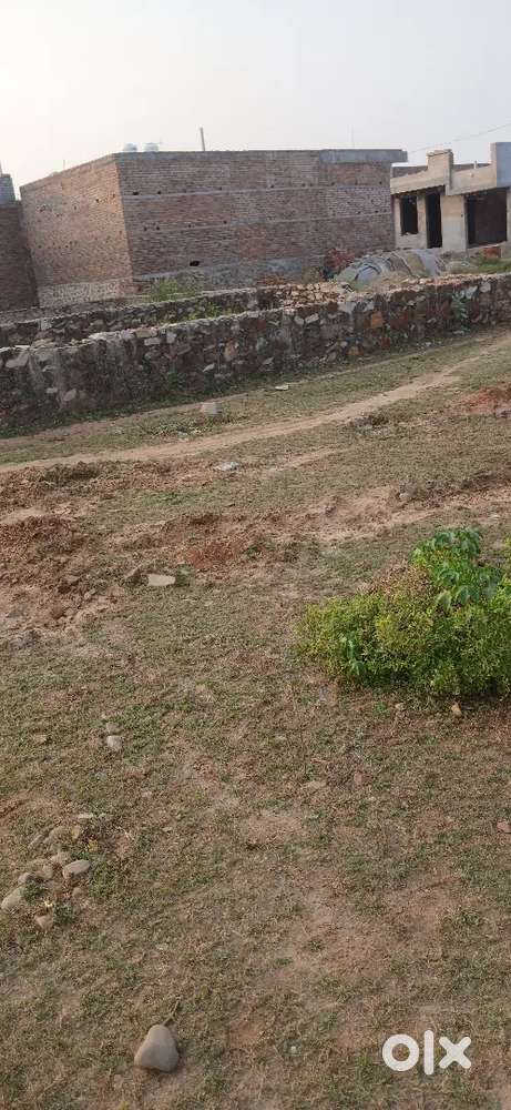 loaneble 1000 sqft plot with 3.5 ft. baundary wall/ neem