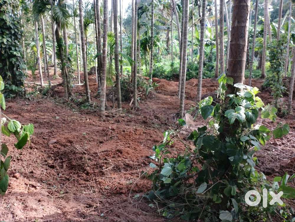 Agriculture land for sale