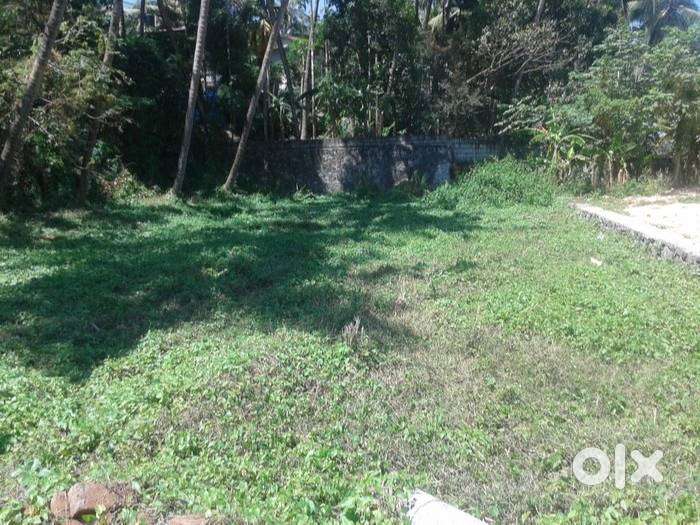 Land for sale in Chelakottukara