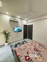 Fully Furnished One Bhk