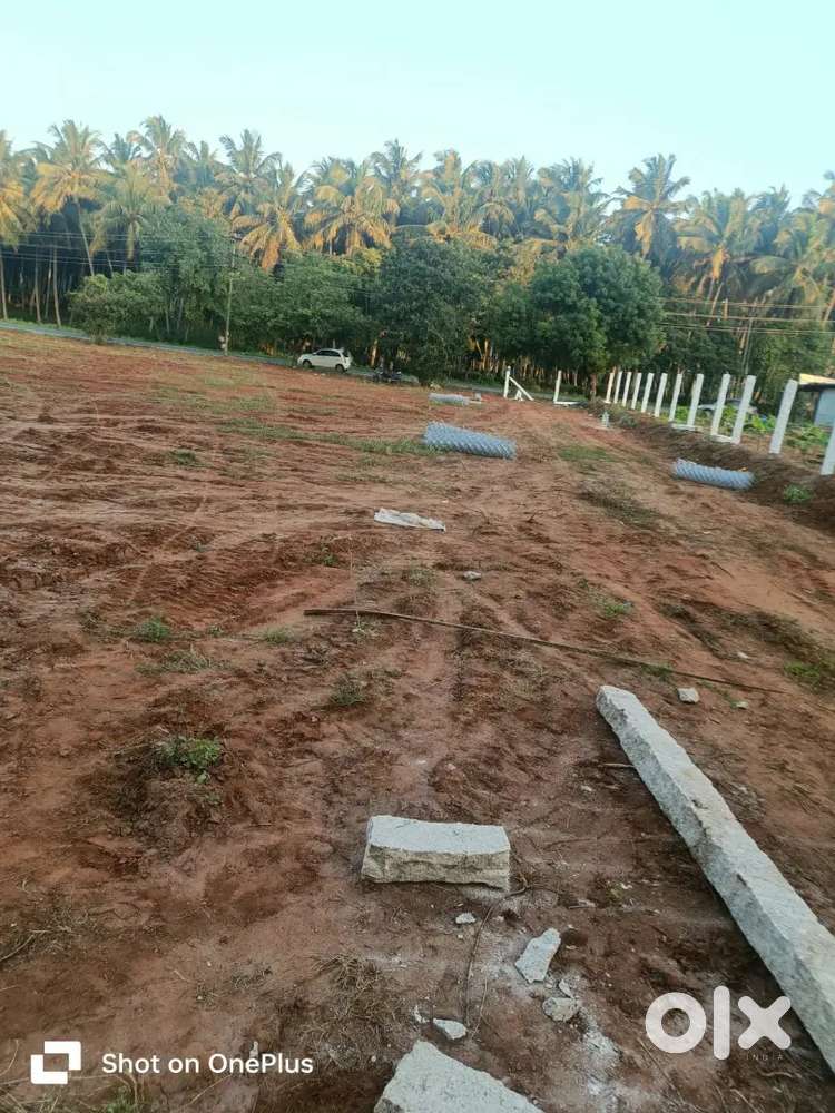 COMMERCIAL LAND: For affordable rent in Pollachi (Highway)
