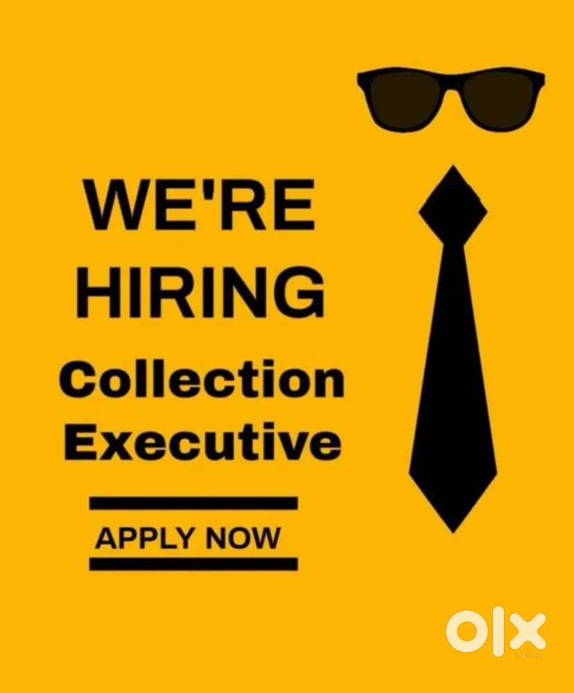 Debt recovery executive /collection