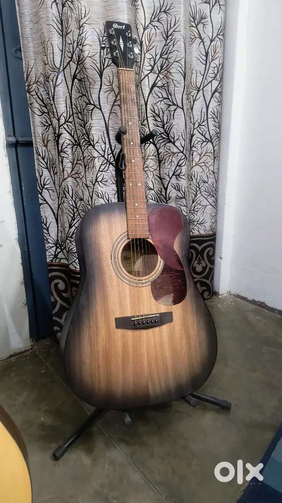 Cort Earth 60M (solid top premium guitar) along with a padded gig bag