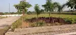 TNC RERA Approved Developed Plots For Sell in Kopidih With BAnk Financ