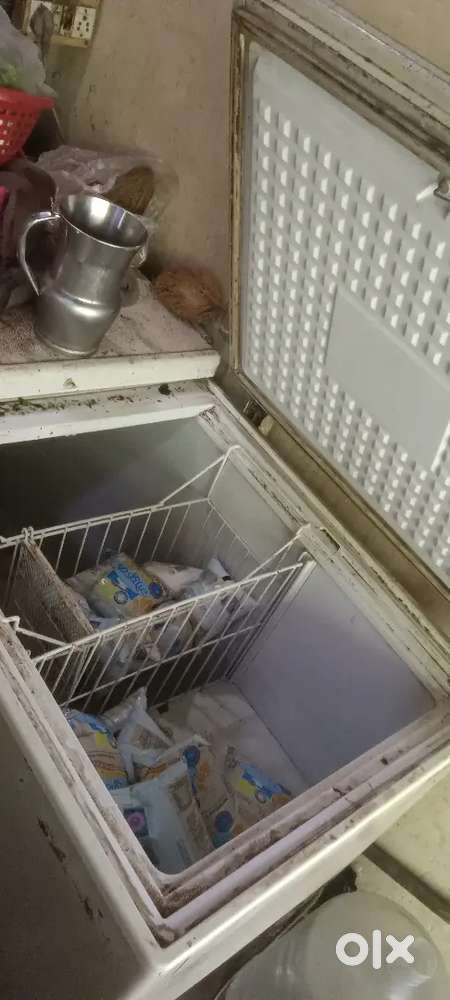 D freeze 500ltr blue star