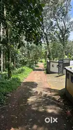 Plot sale in Piravom