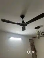 celing fan 3piece