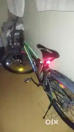 Gradient 1 year old cycle