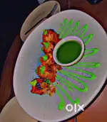 Need a cook
