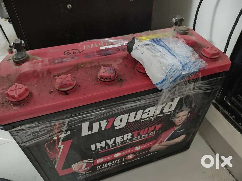 Inverter Battery