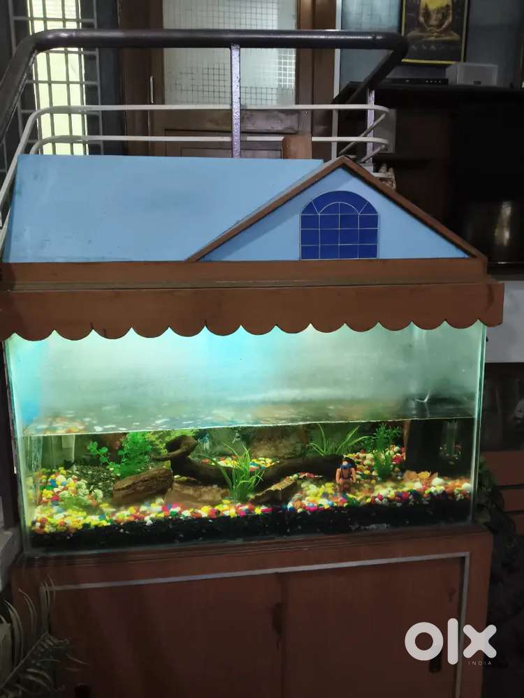 Fully marble floor spacious ground floor for rent