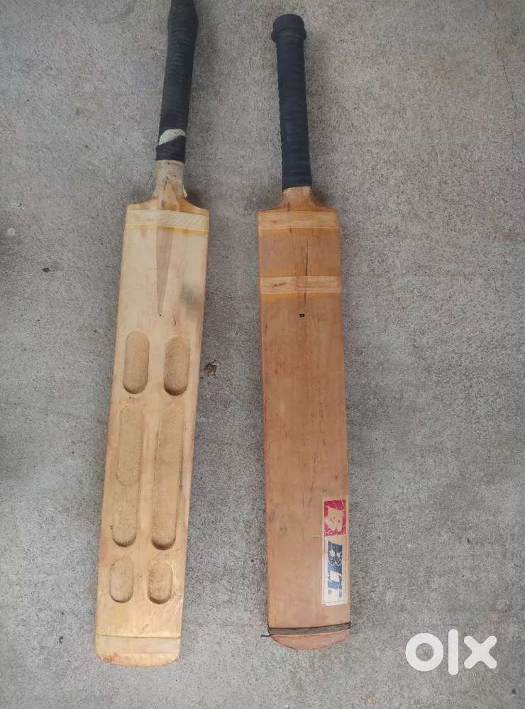 Cricket bat