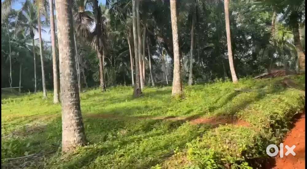 New community is loading