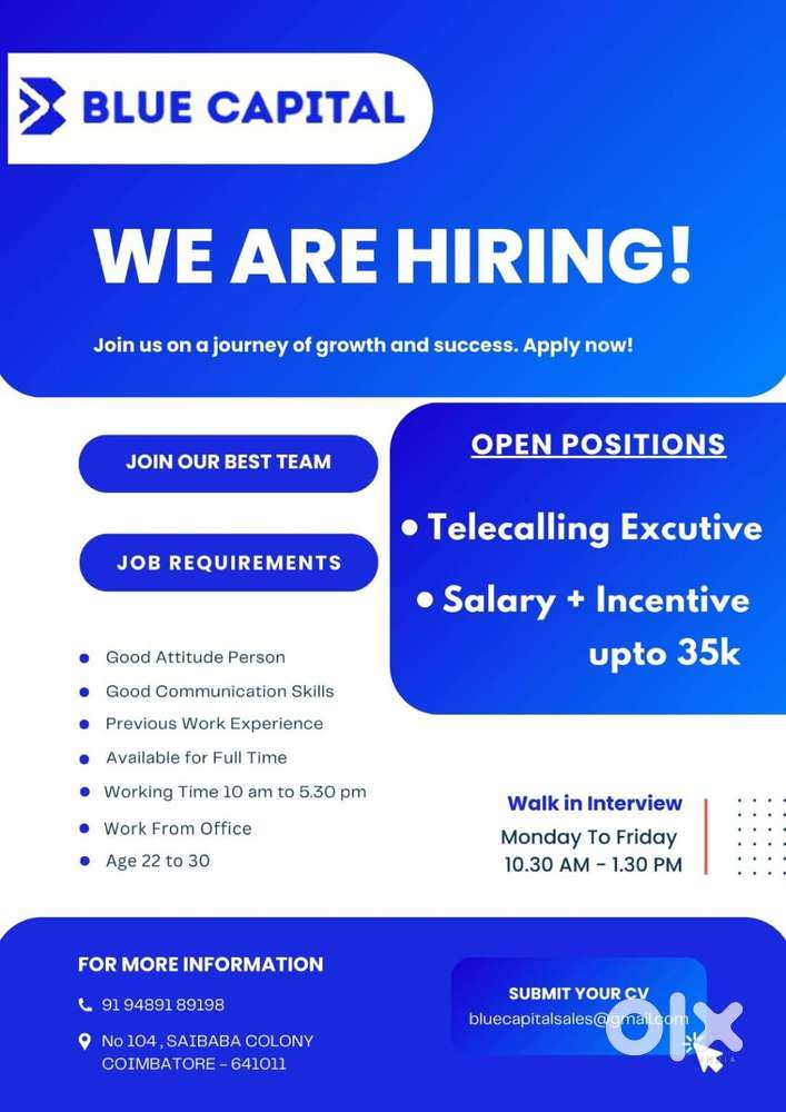 TELECALLER EXECUTIVE