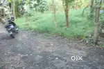 House plot 18 cent near main road Ammancherry 3.5 lakh/cent