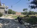 Madhopur Susta in Kachhi pakki Muzaffarpur, Bihar.