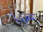 Purple colour cycle