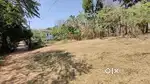 11 Cent House Plot fo sale @Akampadam(parekad)