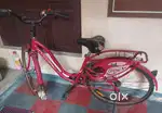 Lady Bird cycle